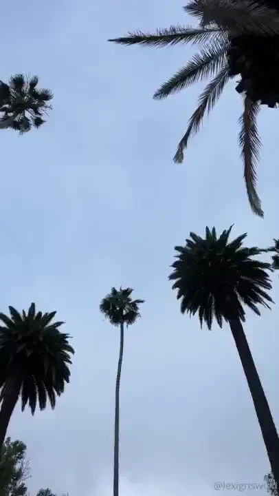 I like to go on walks 