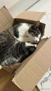 Ohhh while i was at training morty wasted no time and found a new