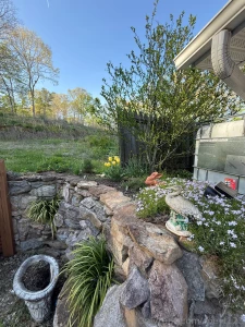 Got a lot done in the gardens today