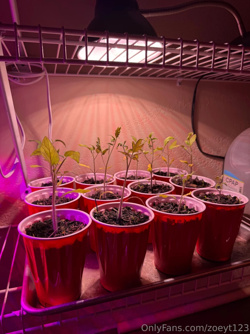 Got a lot done in the gardens today part 1 