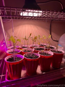 Got a lot done in the gardens today part 1