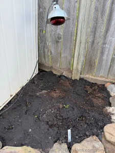 Got a lot done in the gardens today part 2