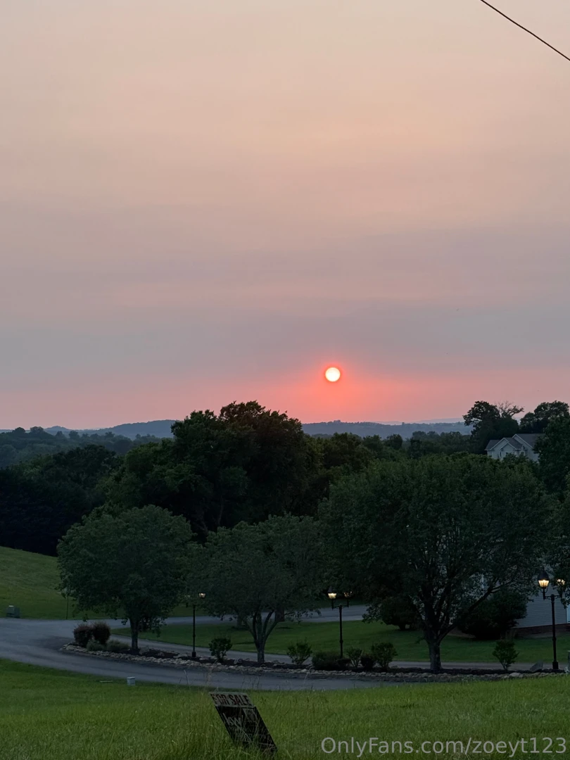 Will was out in the yard chopping wood and fixing our push mower so by part 4 