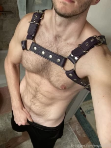 Anyone think i should make some content with this new harness part 2