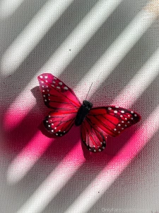 Who do you wanna be part 1