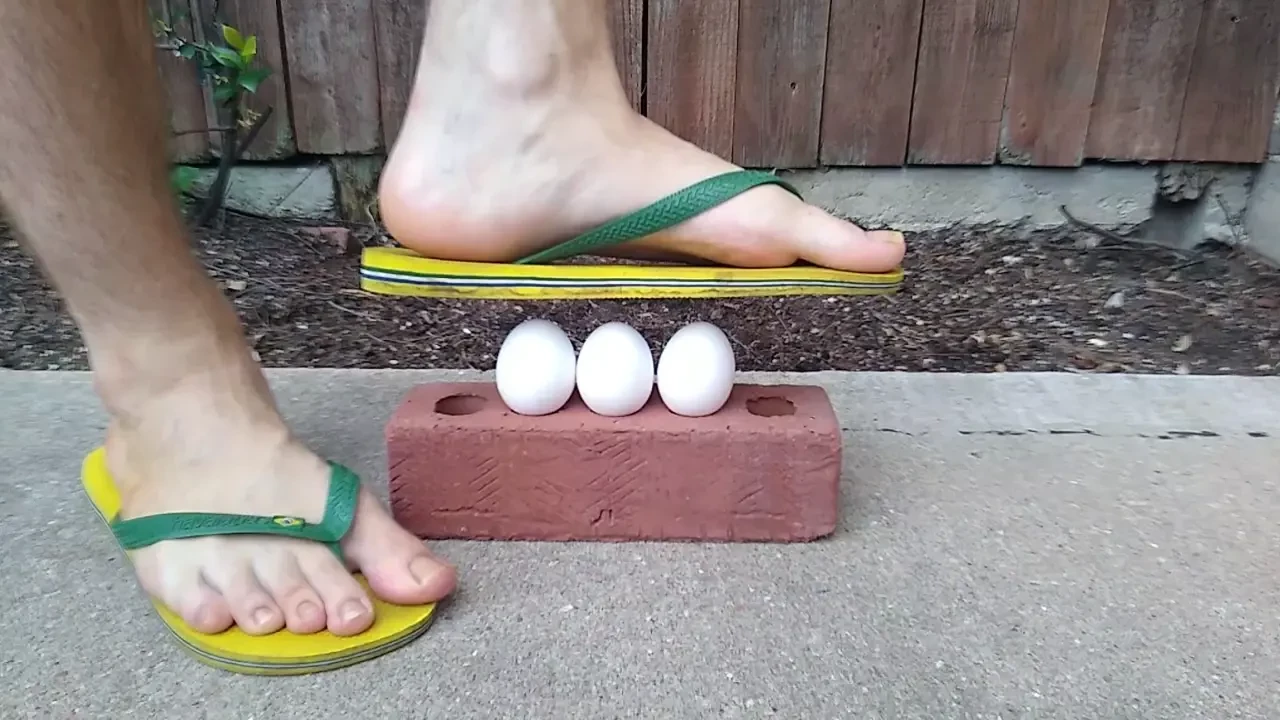 Egg stomp 