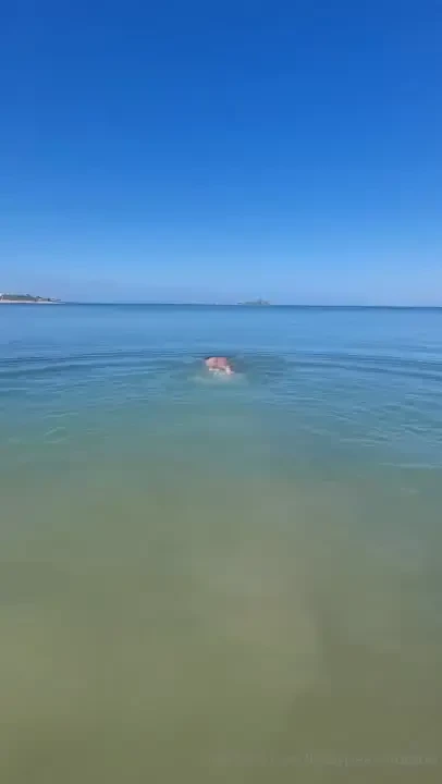 Get wet with me part 66 