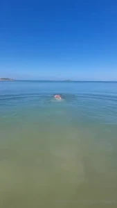 Get wet with me part 66