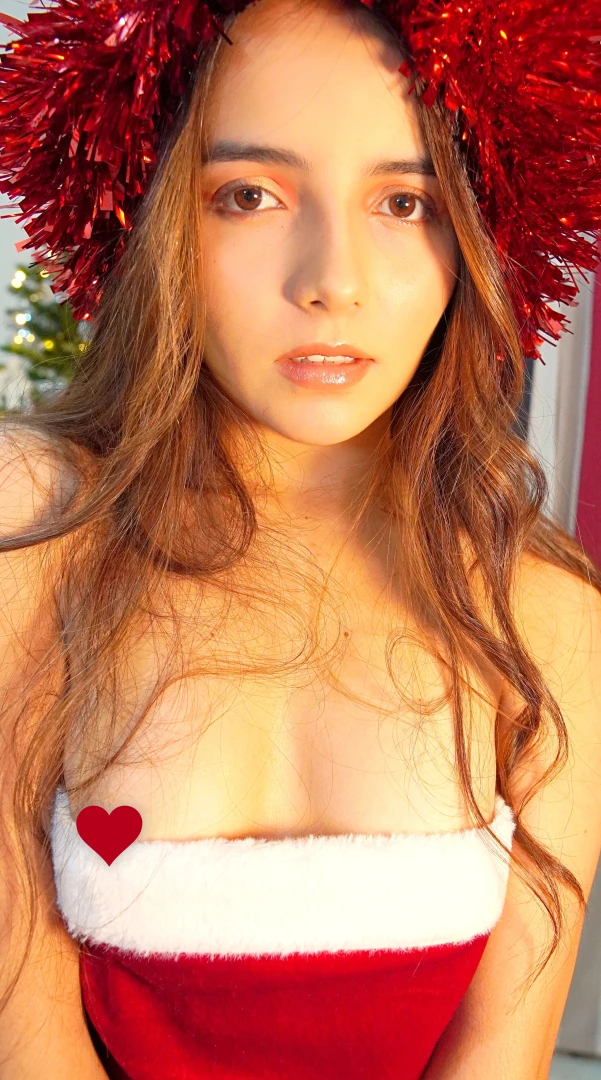 Everything ready for christmas full photo shoot on my vip 