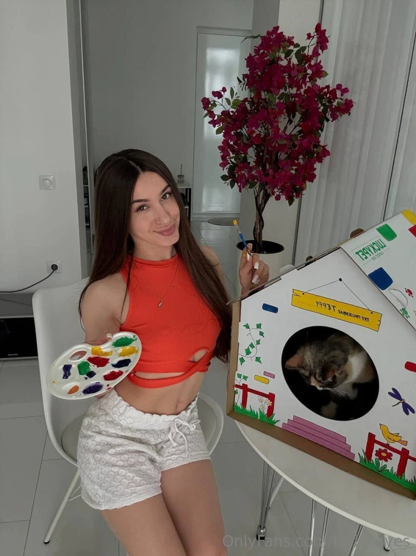 When your cat has a better home than you terry now often lies and 