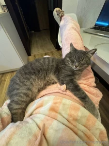 Honestly i m worn out but i ve unpacked everything and aza is slowly