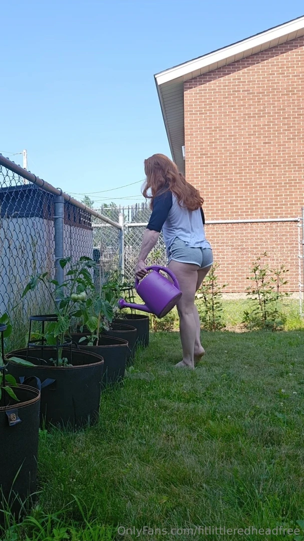 Good morning part 33447 