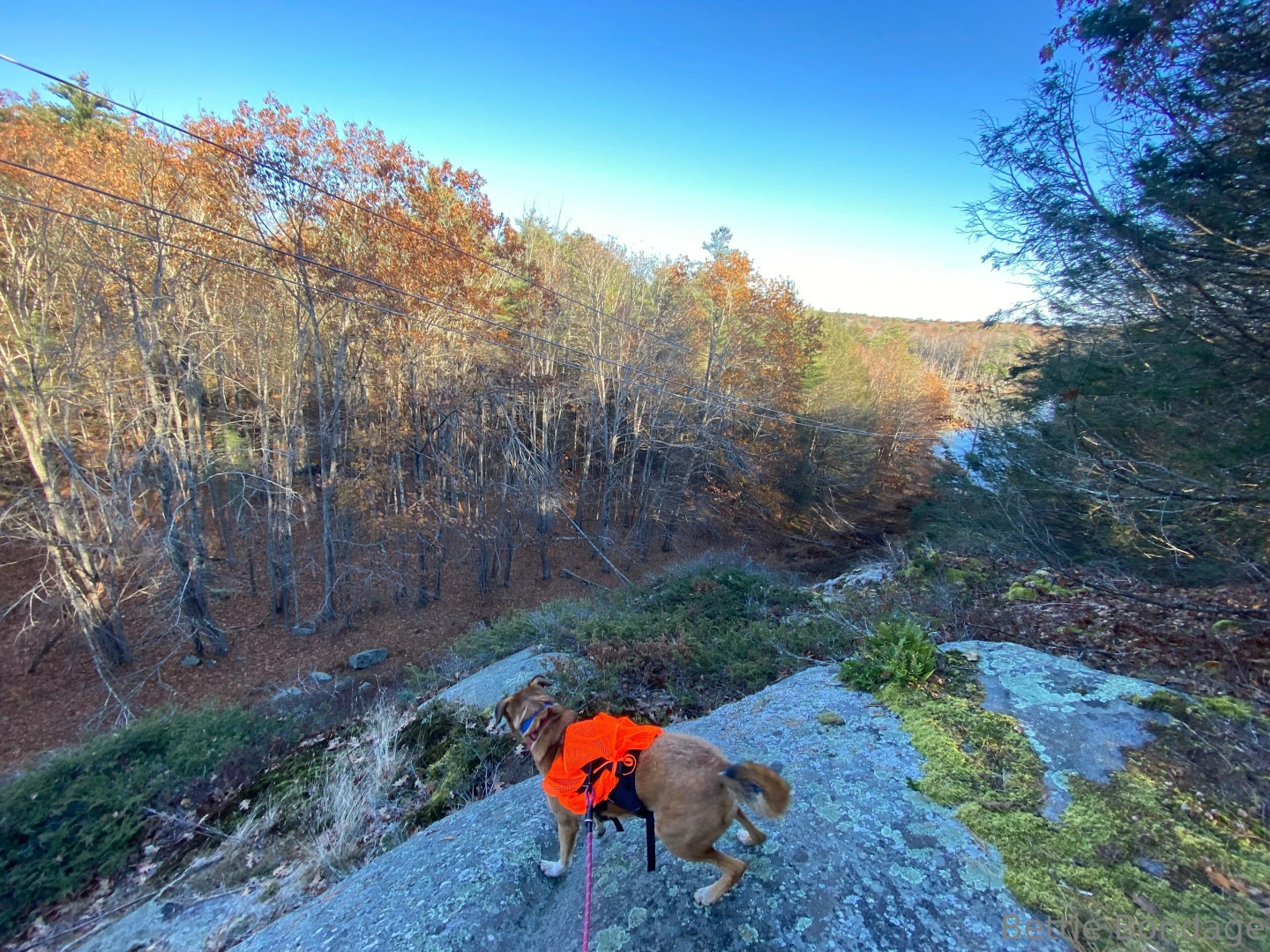 I am forever so grateful for you all i truly can t say it enough a 