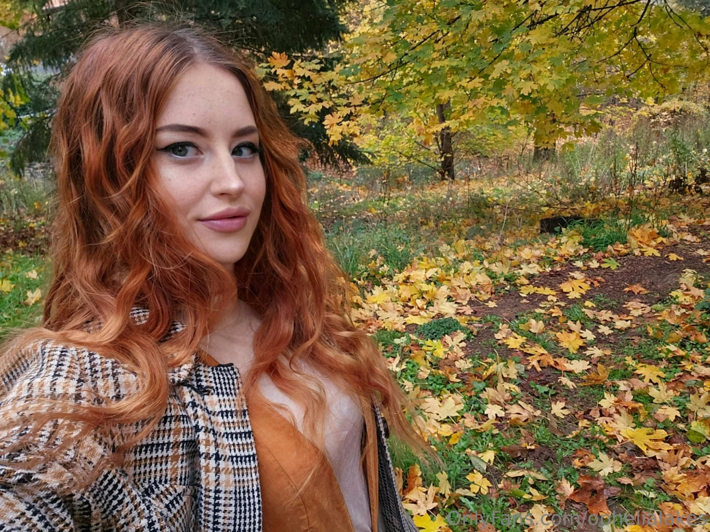 What s your favorite season and why fall has a special place in my 