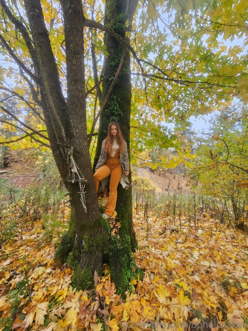 What s your favorite season and why fall has a special place in my part 1 