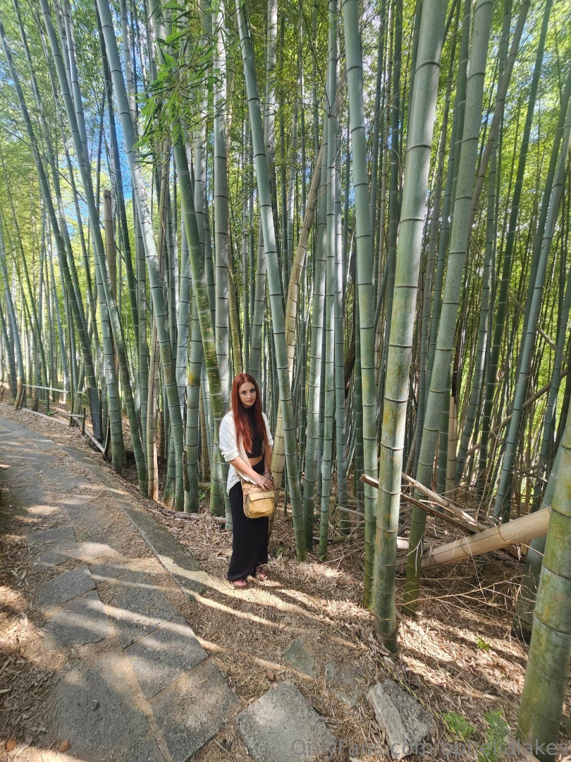 Good morning nature lovers today i had the most enchanting morning 