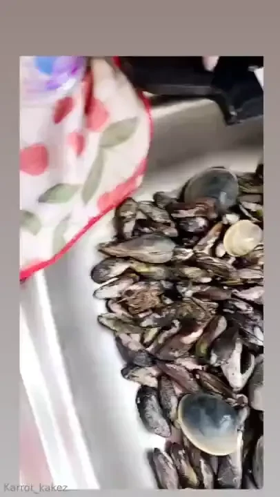 Mamareddskitchen mamareddskitxhen achioteoil homemade stuffies clams part 4 
