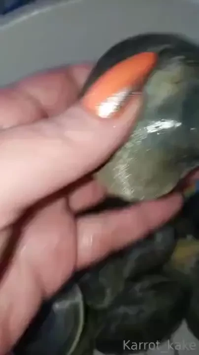 Beach tings sunsoutbunsout itsanewenglandthing part 4 