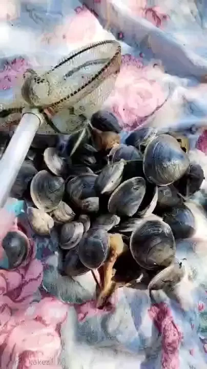 Today s catch part 2 