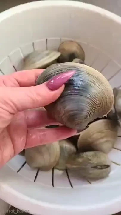 Let s go clamming qhahogs ocean vibes hott3stclamm3r 