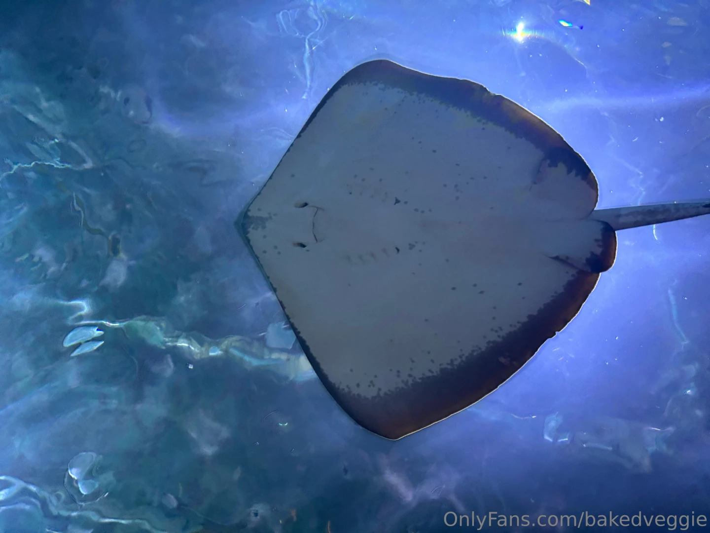 Some sfw pics from my trip hopefully yall enjoy these i like sharing part 7 