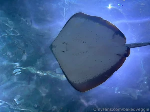 Some sfw pics from my trip hopefully yall enjoy these i like sharing part 7