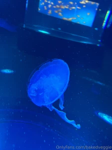 Some sfw pics from my trip hopefully yall enjoy these i like sharing part 10