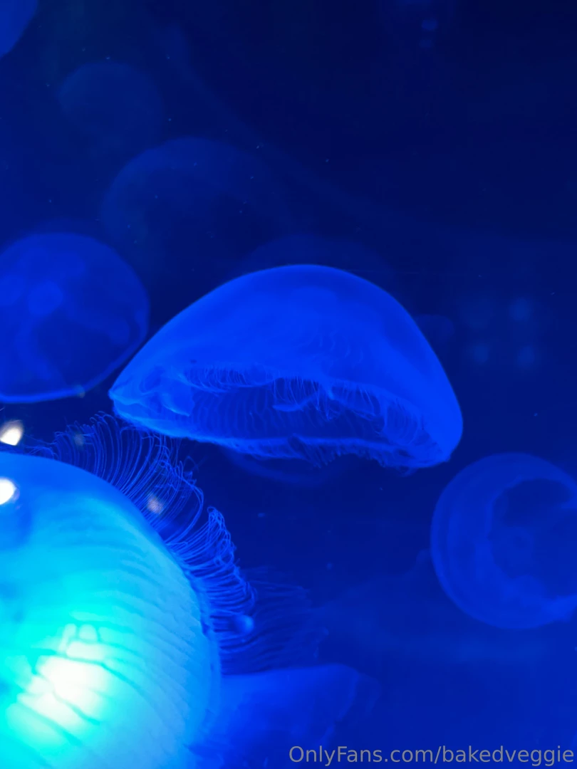 Some sfw pics from my trip hopefully yall enjoy these i like sharing part 8 