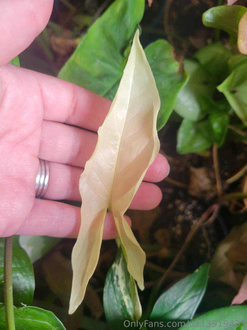 Been awhile since i made you all look at my plants part 5 