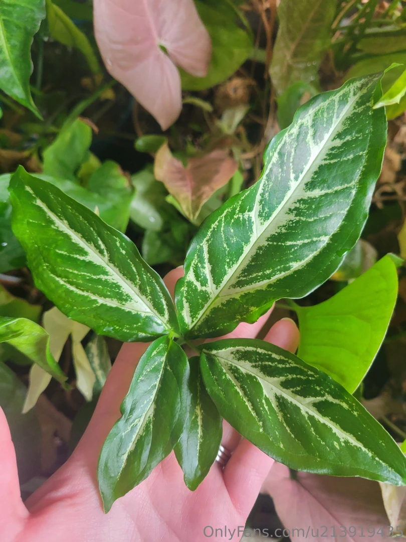 Been awhile since i made you all look at my plants part 2 