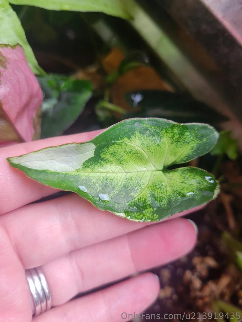 Been awhile since i made you all look at my plants part 4 