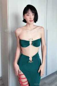 Couldn t find a christmas outfit so i improvised