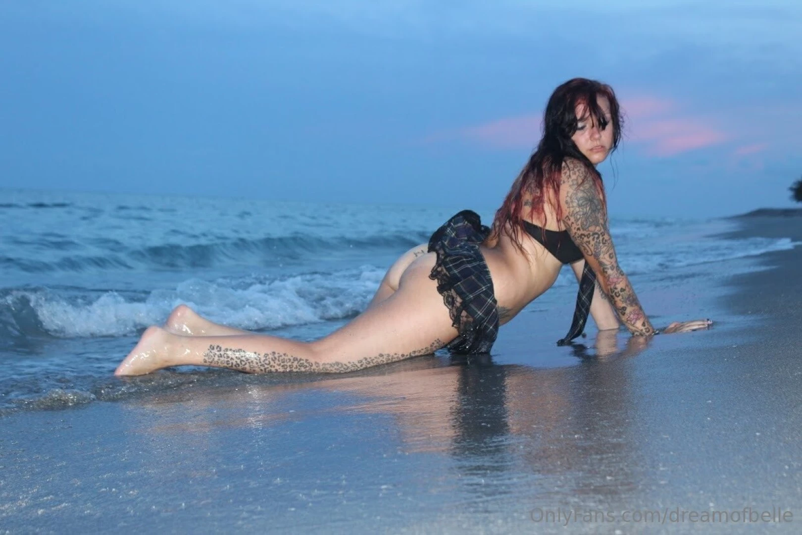 If you could pay to have me send you any pictures or videos made from 