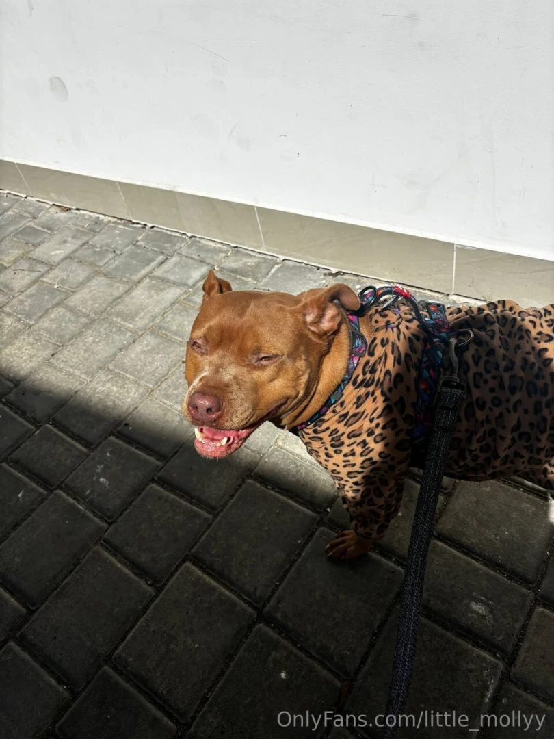 Just when you wanted to look the brightest in the neighborhood but 