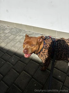 Just when you wanted to look the brightest in the neighborhood but