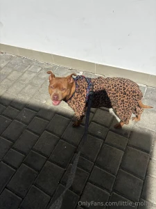 Just when you wanted to look the brightest in the neighborhood but part 1