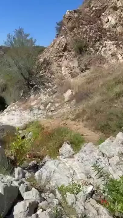 I m starting to love nature 