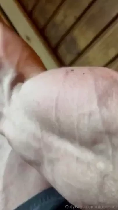 Competition season is underway these muscles are looking otherworldly 