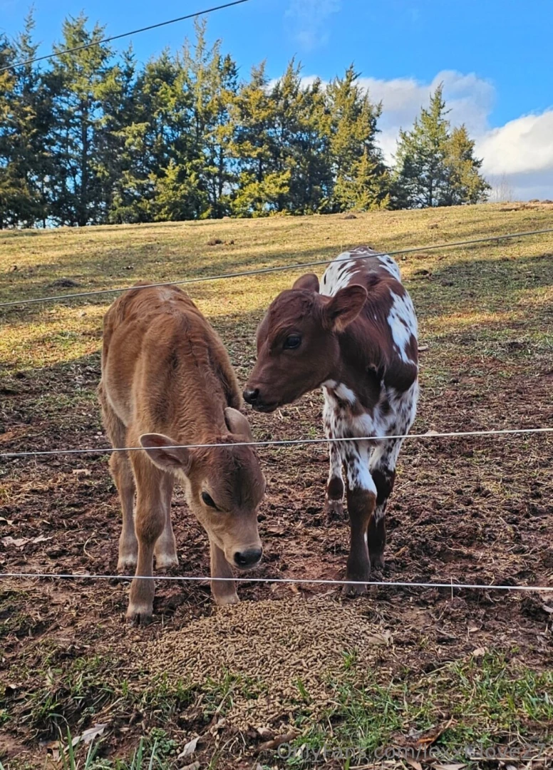 It s been a busy week over here swipe to see my new little ones 