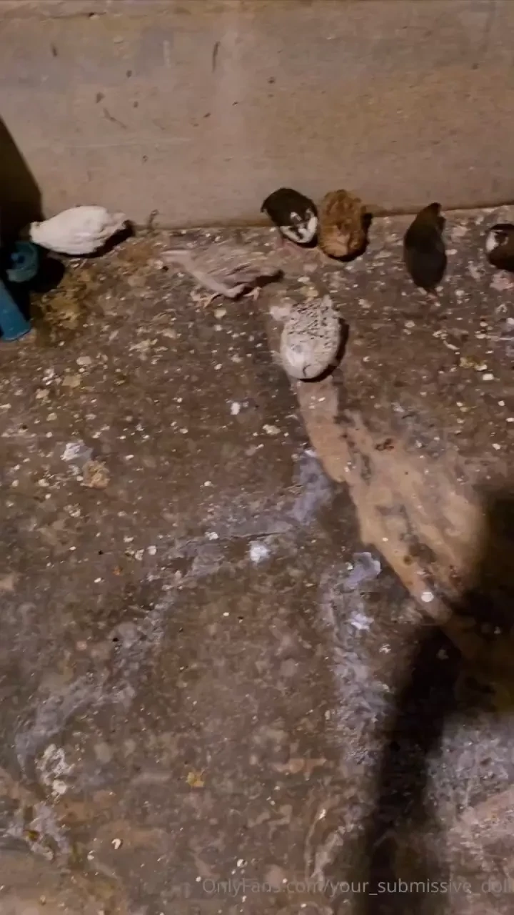 It seems that i have a few more small friends to look after 