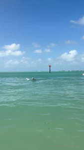 Little fun off the dock _
