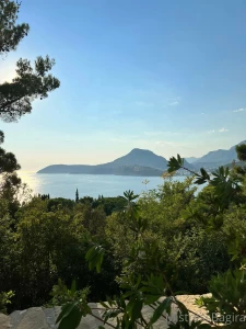 Ok this time i m on a real vacation on my way to the sea my puppy s part 1