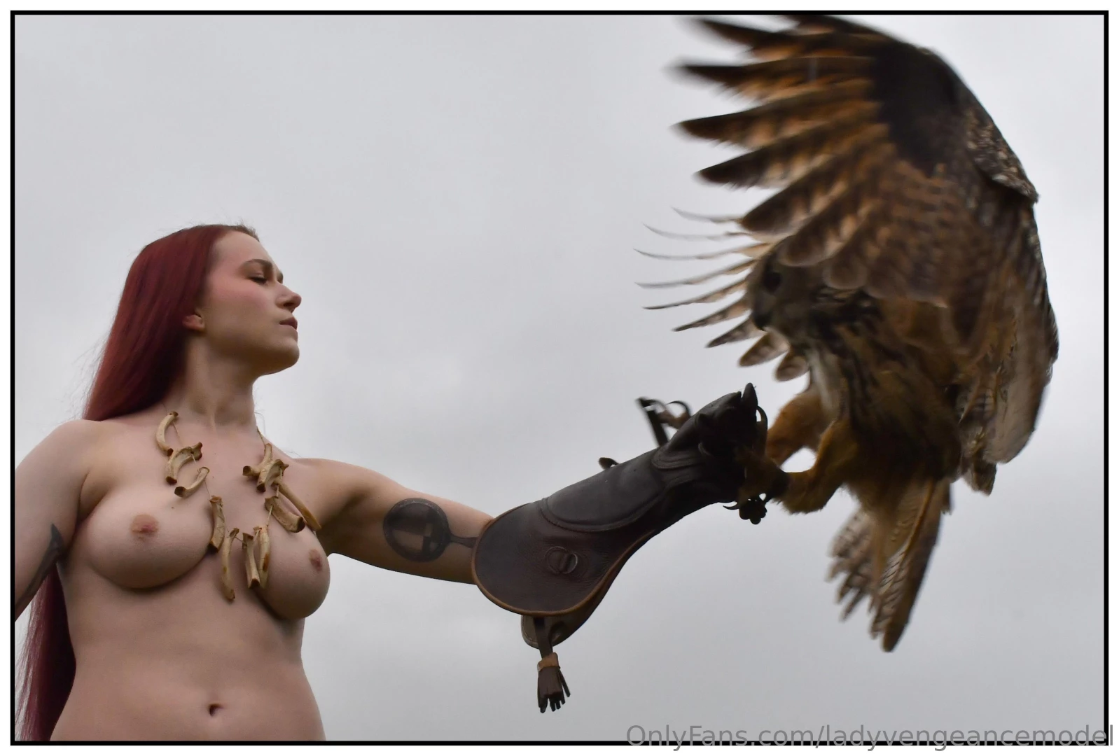Shooting with an eagle-owl last saturday pictures by steven matthijs 