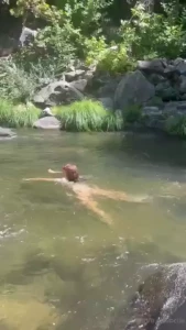 Naturally free