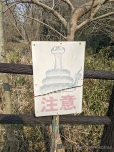 Scooter bike adventures on an overcast day