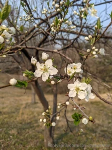 Scooter bike adventures on an overcast day part 1