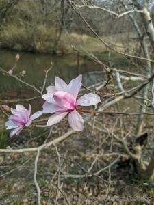 Scooter bike adventures on an overcast day part 4