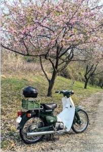 Scooter bike adventures on an overcast day part 3