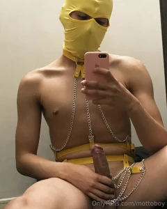 This yellow harness is everything i really love it