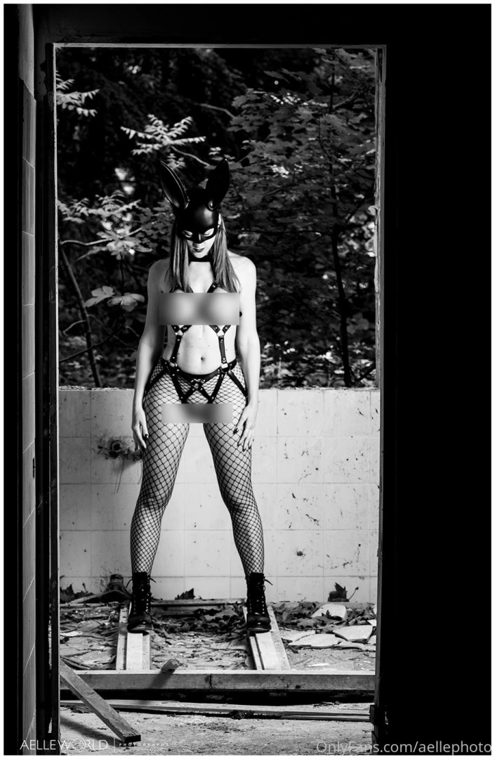 Black rabbit with donny part 2 preview part 2 